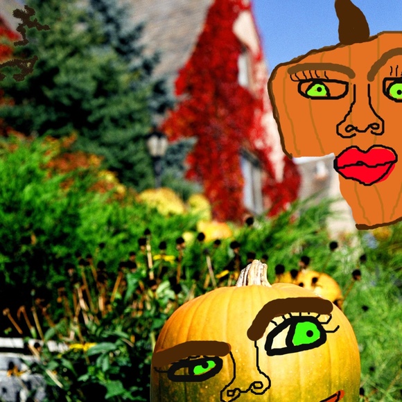 Pumpkin heads - Picture 2 of 2